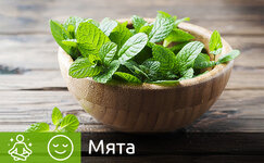myata__j43ykO8Xr1hKzZR0.jpg