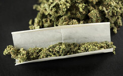 chistyj-opyt-ispolzovaniya-kannabisa__SRPAyYnyTigdxAqJ.jpg