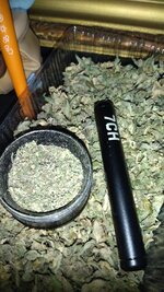 IMG_20251205_171156.jpg