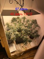 IMG_1852.jpeg