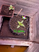 IMG_1854.jpeg