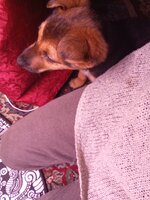 IMG_20251207_060712.jpg