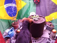 IMG_20251207_060957.jpg