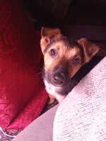 IMG_20251207_060720.jpg