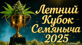 1765207398450.png