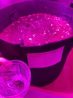 IMG_1874.jpeg
