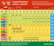 IMG_9333.jpeg