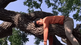 223d34500.gif