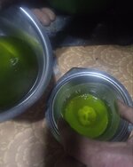 IMG_1910.jpeg
