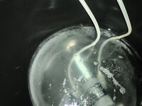 IMG_20251211_121529.jpg