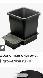IMG_3365.jpeg