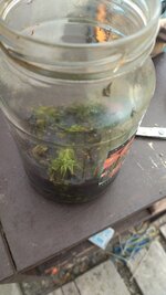 IMG_20251212_133734.jpg