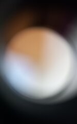 20251211_093503.jpg