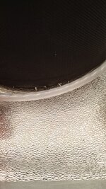 IMG_20251214_104526_222.jpg