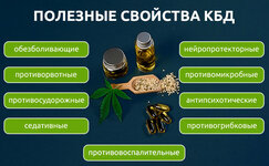 KBD-i-ego-primenenie-v-medicine__R4VgKgOS71HUHXOf.jpg KBD-i-ego-primenenie-v-medicine__R4VgKgOS71HUHXOf.jpg