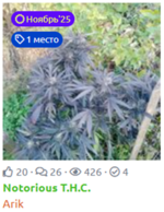 1765785449250.png