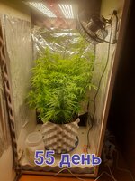 20251213_151857.jpg