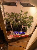IMG_2004.jpeg