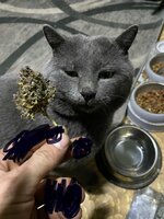 IMG_1994.jpeg