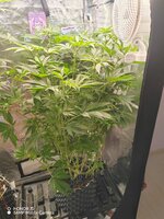 IMG_20251216_101916.jpg
