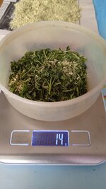IMG_20251219_115238_872.jpg