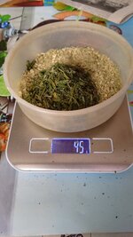 IMG_20251219_115322_934.jpg
