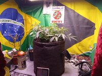 IMG_20251220_030230.jpg