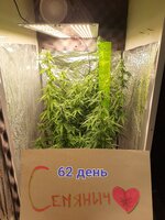 20251220_163839.jpg