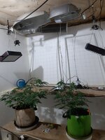 20251223_082859.jpg