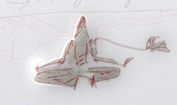 IMG_E0480.JPG