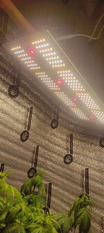 IMG_20251223_185307.jpg