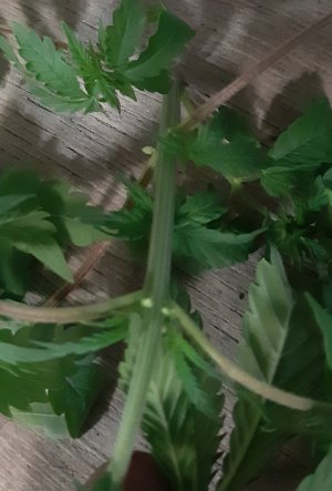 20220523_192254.jpg