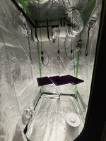 IMG_4822.jpeg