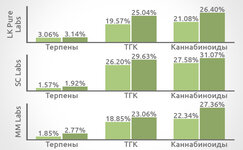 avtoprolechka-kannabisa__tIkx7z66BJETyfOH.jpg avtoprolechka-kannabisa__tIkx7z66BJETyfOH.jpg