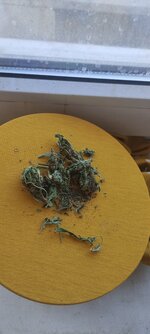 IMG_20251225_134420.jpg