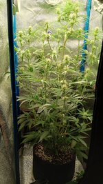 1766773155236.jpg