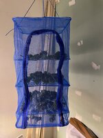 IMG_2193.jpeg