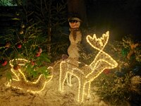 IMG_20251227_180521.jpg