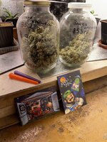 IMG_2235.jpeg