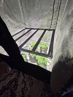 20251230_140408.jpg