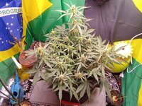 IMG_20251230_104827.jpg