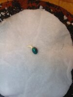 IMG_20251217_204220.jpg