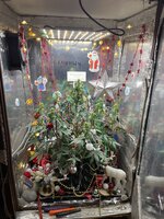 IMG_2267.jpeg