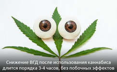 lechenie-glaukomy-marihuanoj__stQRZF2fTu79Pr7j.jpg