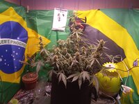 IMG_20260104_103738.jpg