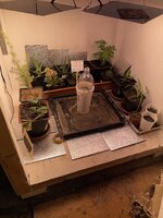 IMG_2287.jpeg
