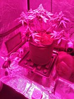 IMG_20260104_184559.jpg
