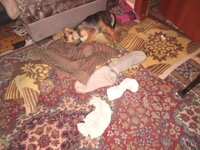 IMG_20260107_045711.jpg