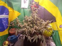 IMG_20260104_060431.jpg