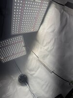 IMG_5069.jpeg
